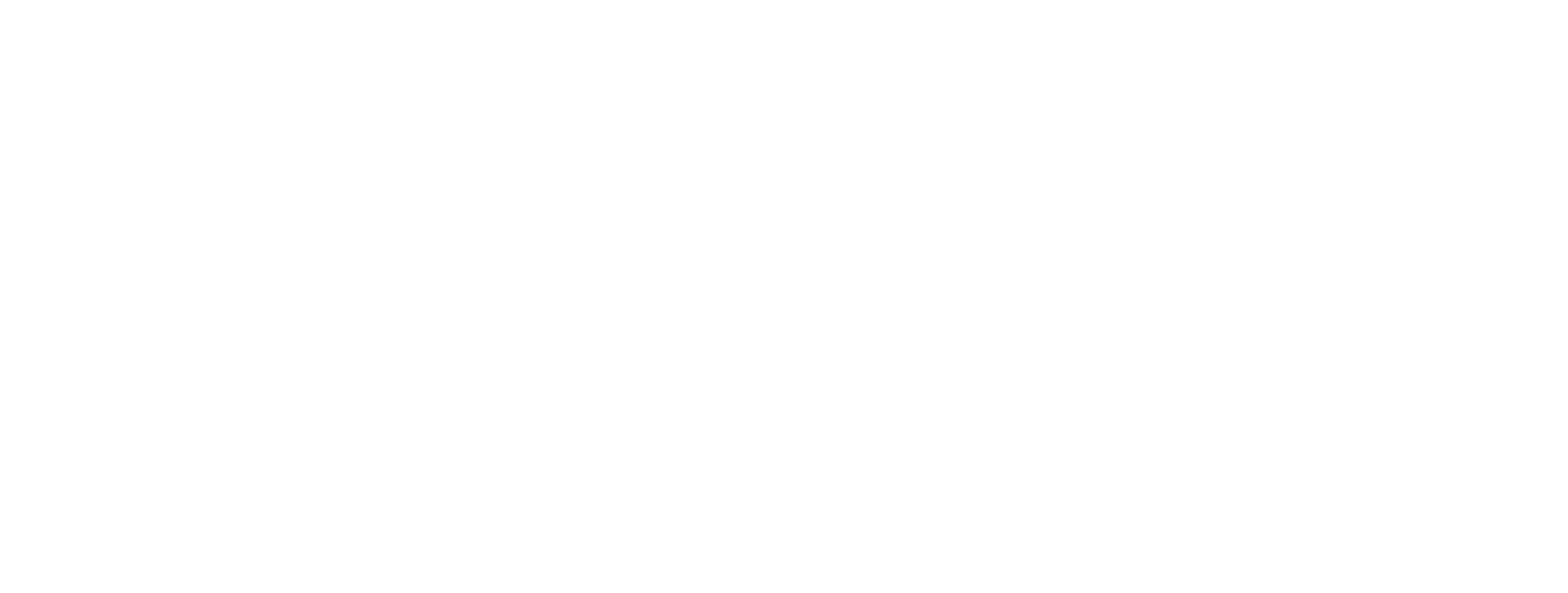 Dallas Watch & Diamonds logo